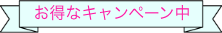 お得なキャンペーン中